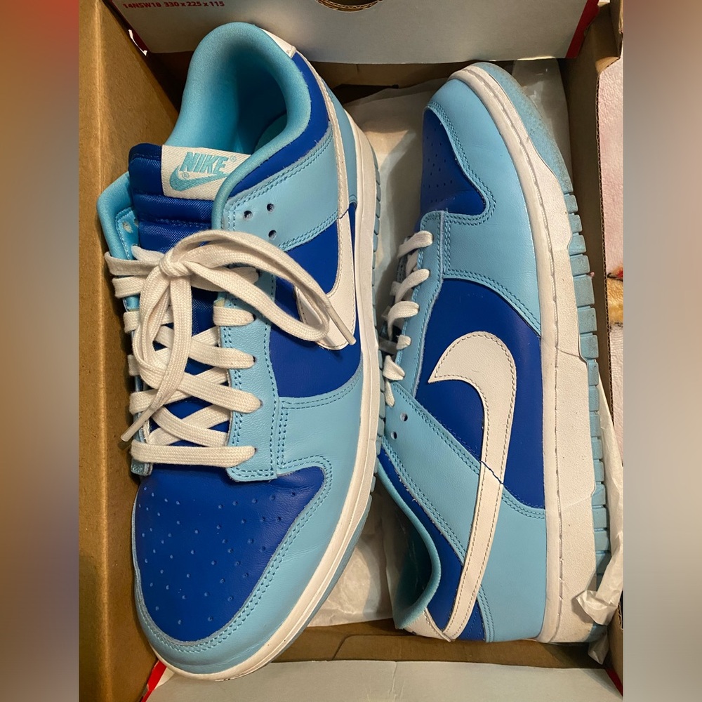 Nike dunk low retro